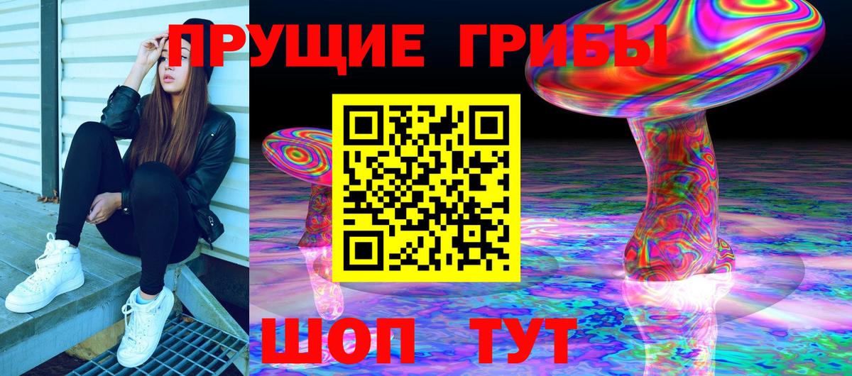 Галлюциногенные грибы Psilocybe  Вход с VPN  где найти   Майский  Псилоцибиновые грибы мицелий 